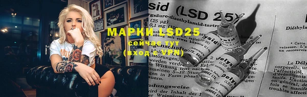 mdpv Верея