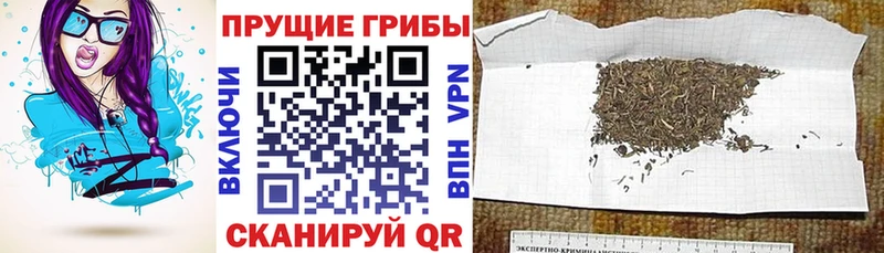 Галлюциногенные грибы мухоморы  mega как зайти  Надым 